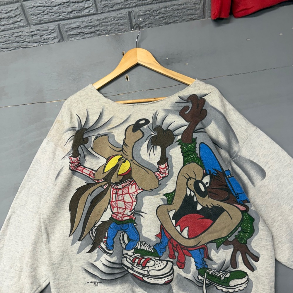 Vintage 1995 Looney Tunes Wile E Coyote Taz Sweatshirt Freeze Gray 90s Graphic